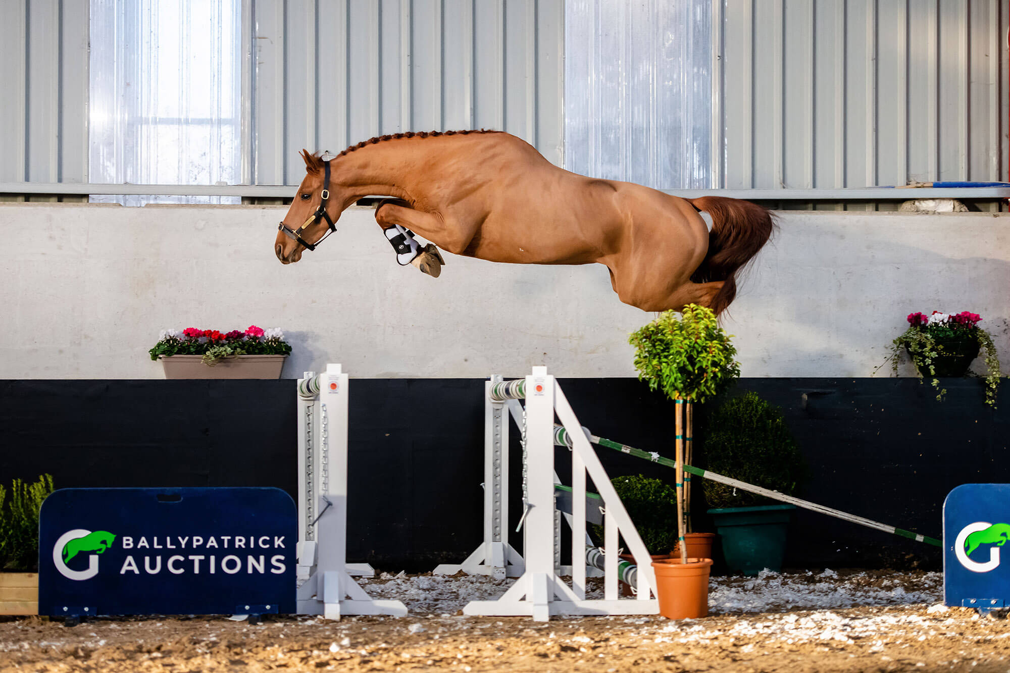 LOT 09 – BP Ennisnag