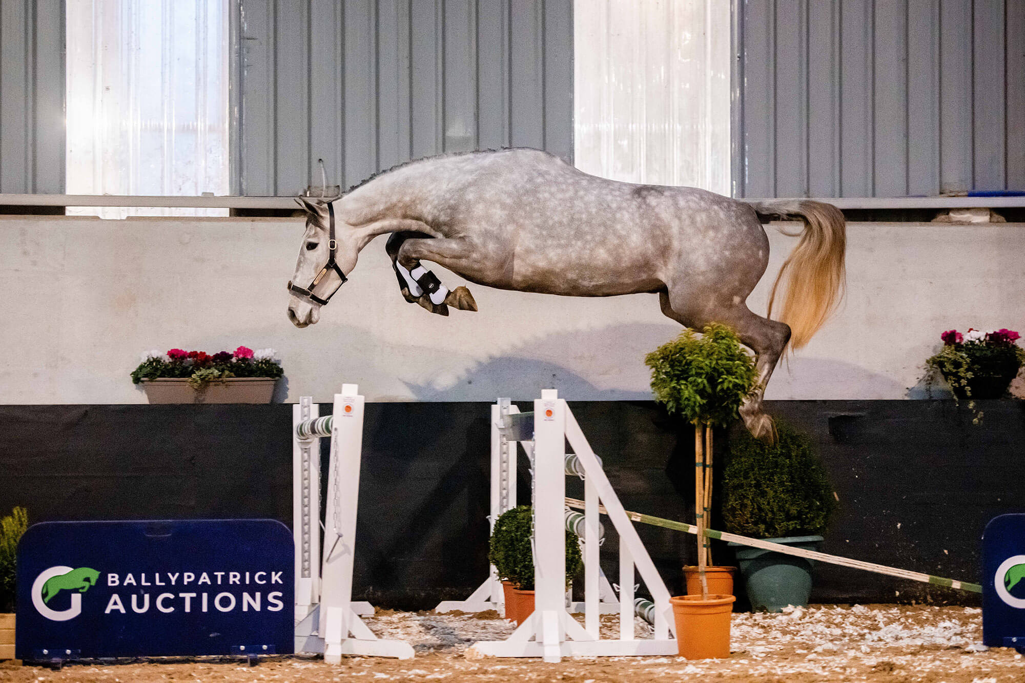 LOT 14 – BP BONO