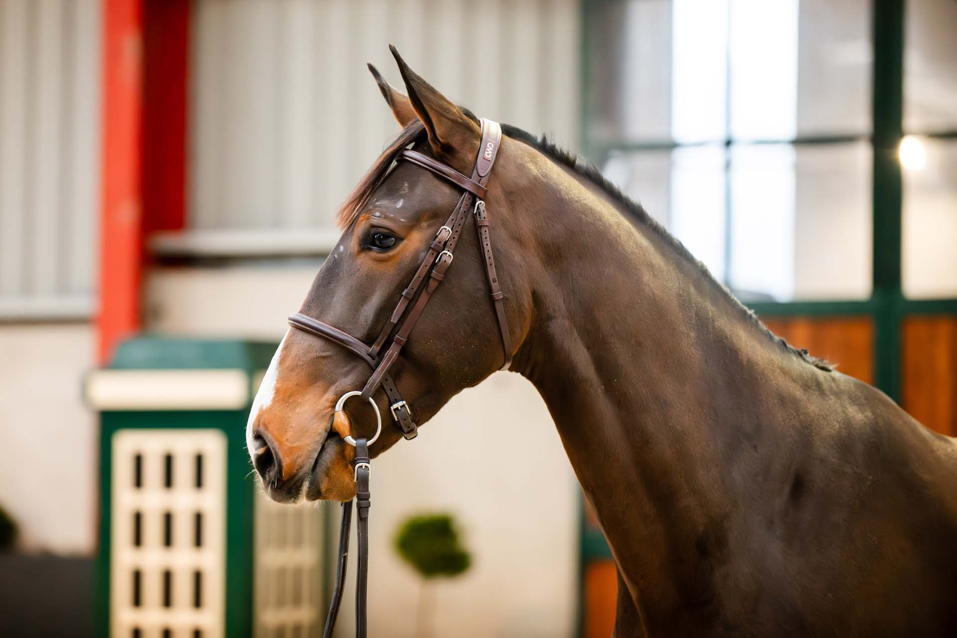 9c18afeb-c6b2-4b3c-9cd9-b21067198ebe
