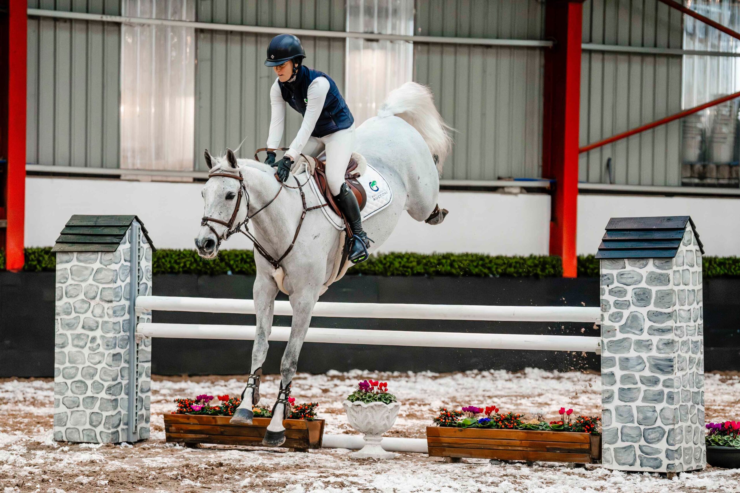 LOT 3 – BP Iceman