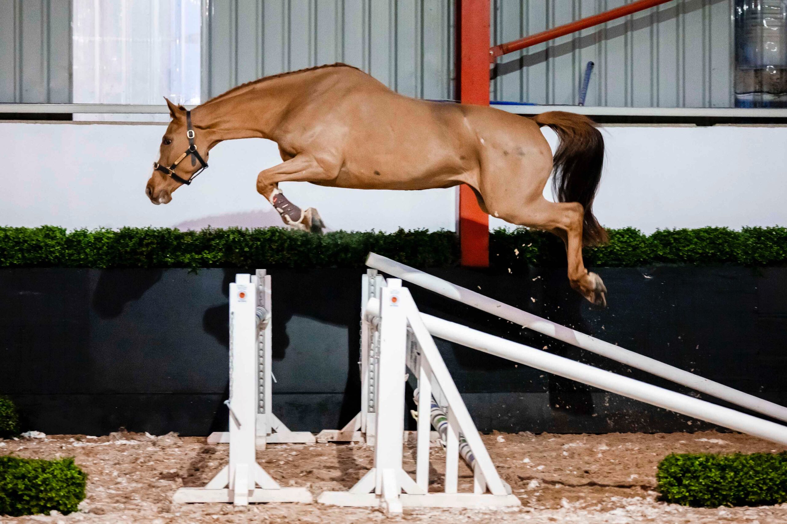 LOT 17 – BP Carrickview