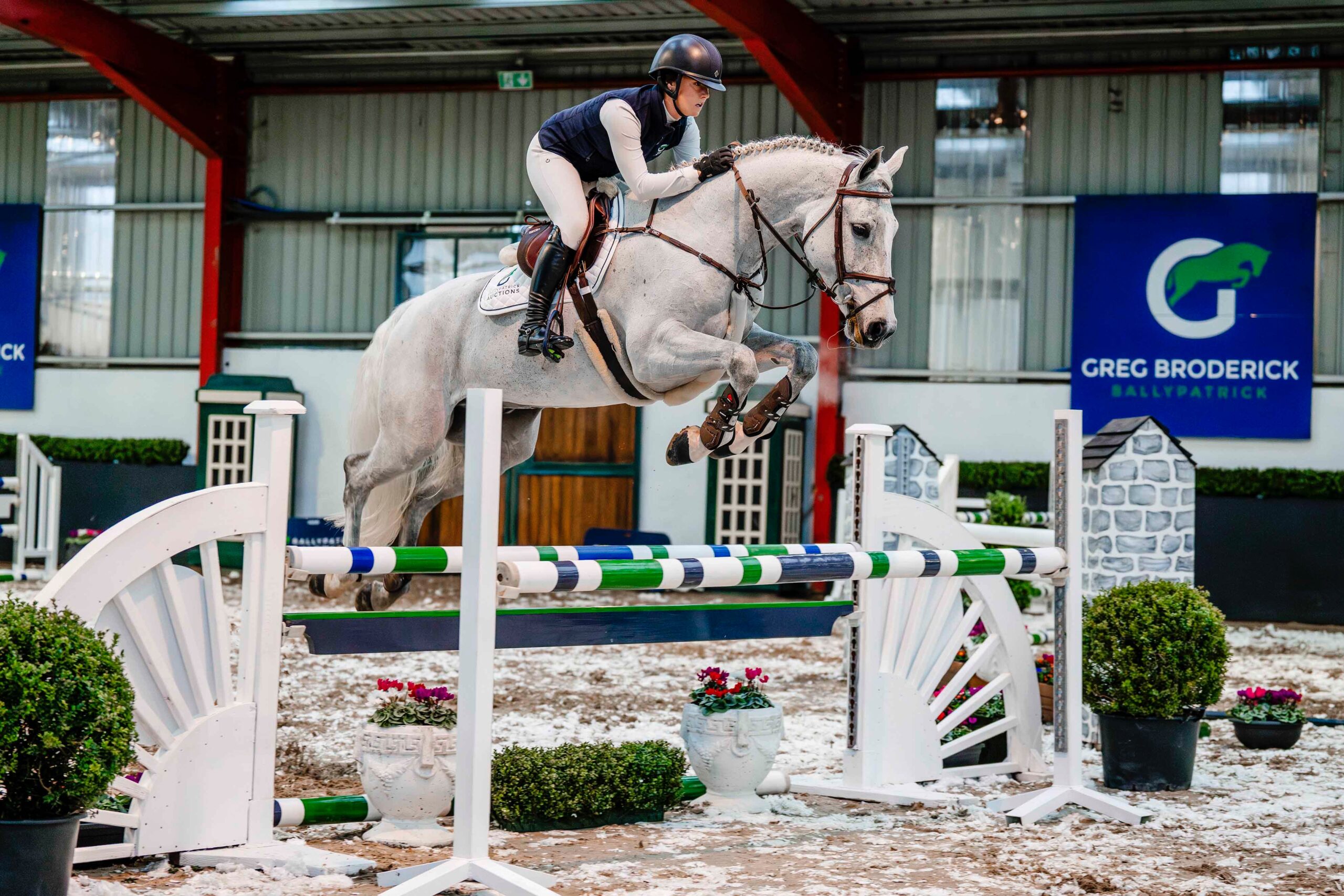 LOT 4 – Tick A Hero