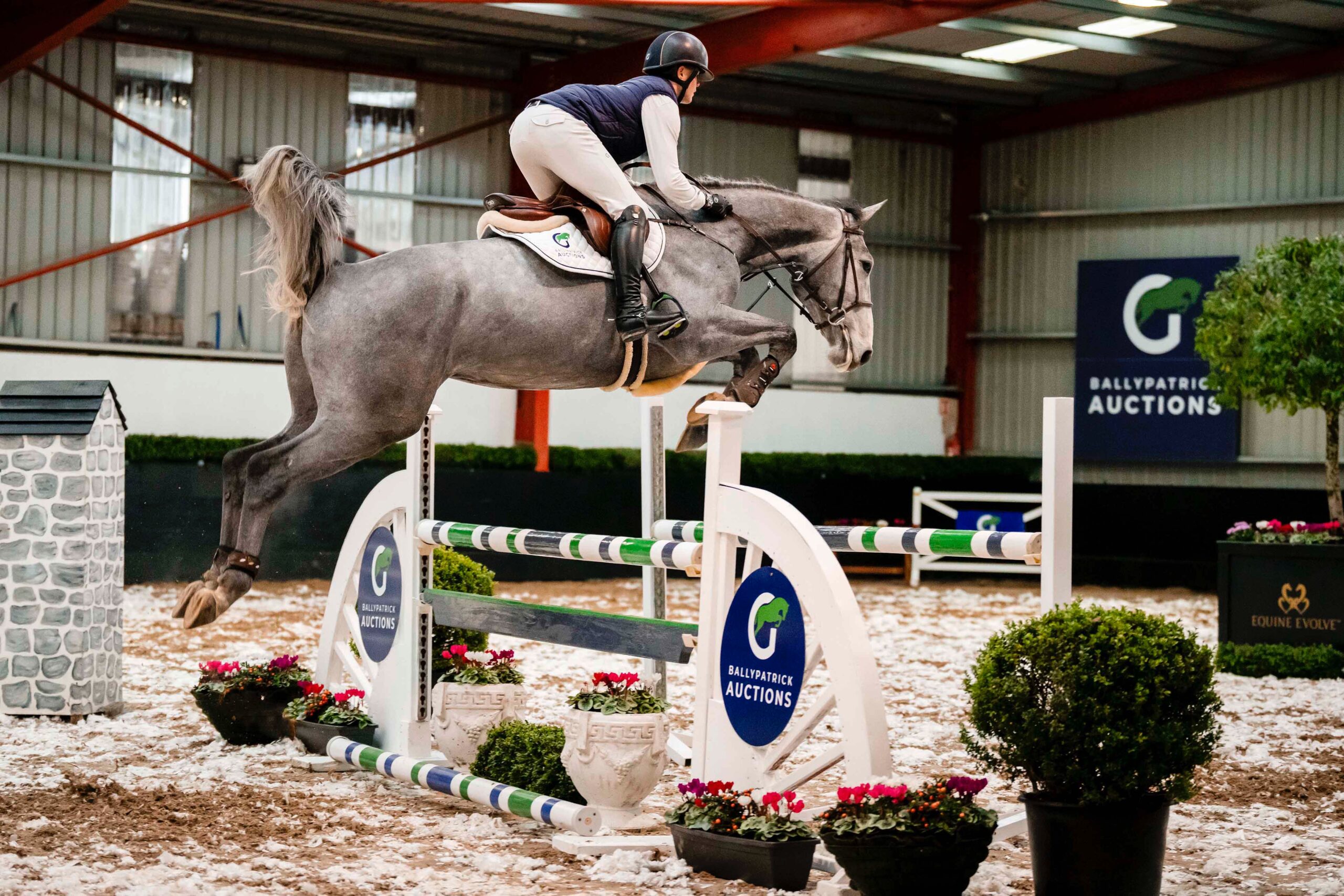 LOT 13 – BP Dreaming