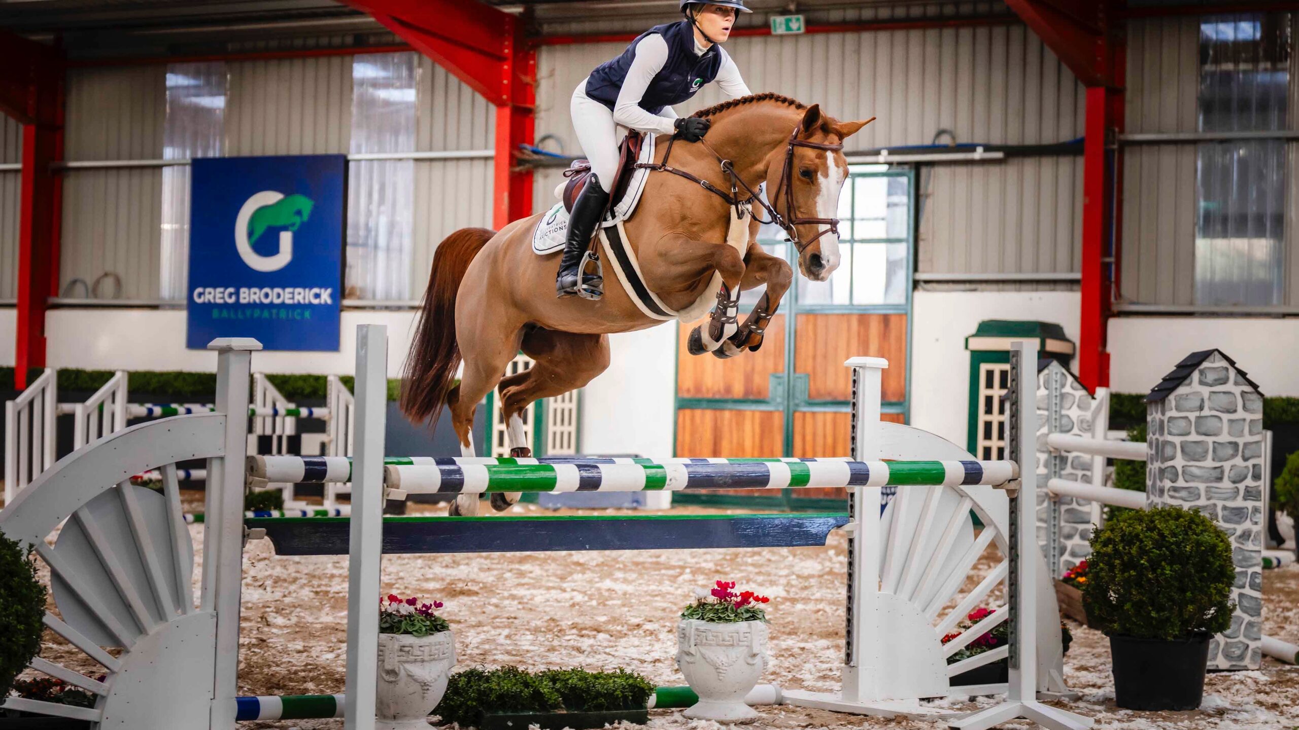 LOT 6 – BP Ooh La La (Pony)