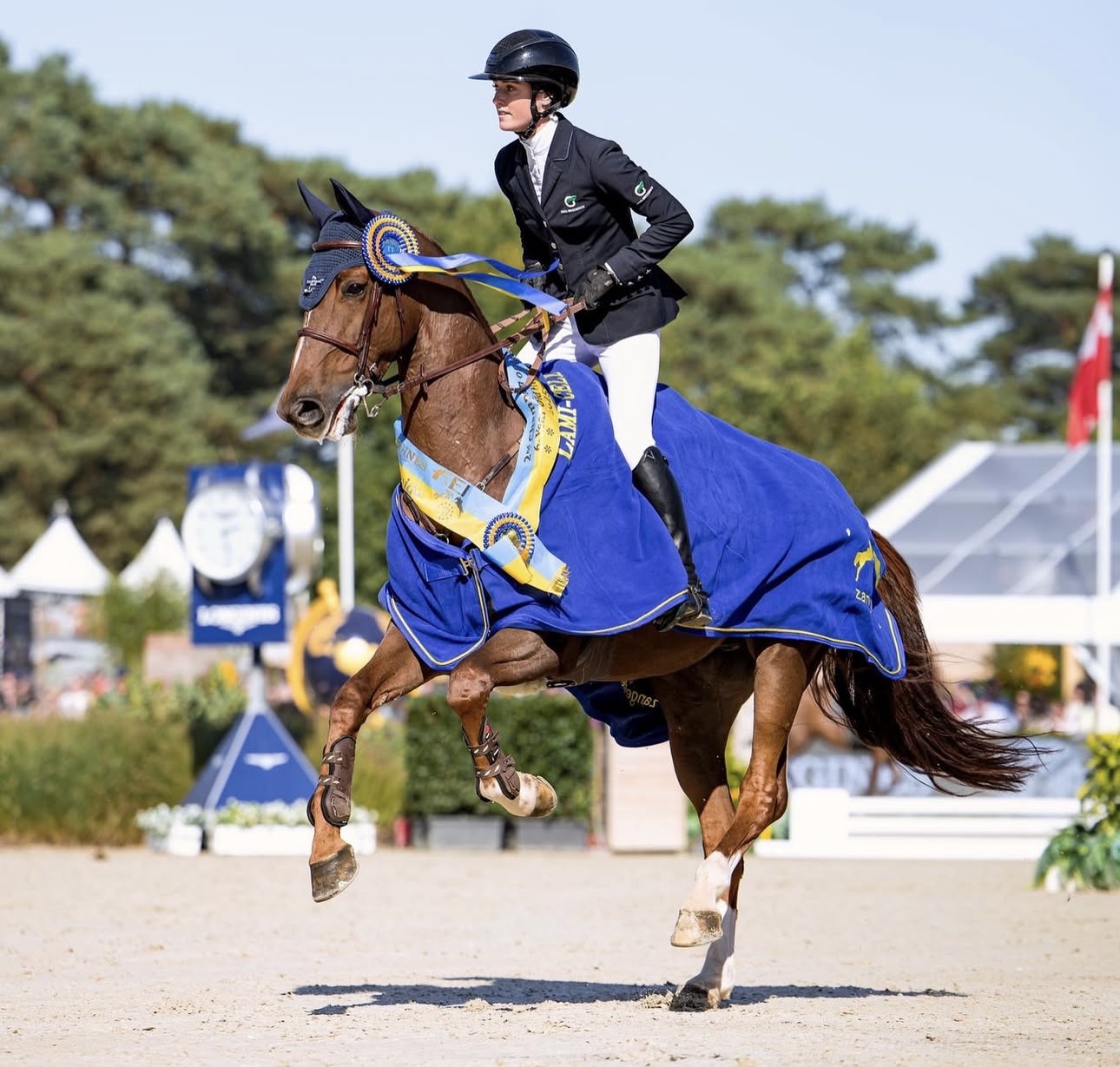 P OTHELLO & Niamh McEvoy – SILVER MEDALISTS, 6 Year Old Final, WBFSH Lanaken 2025! 🥈🌍🏆